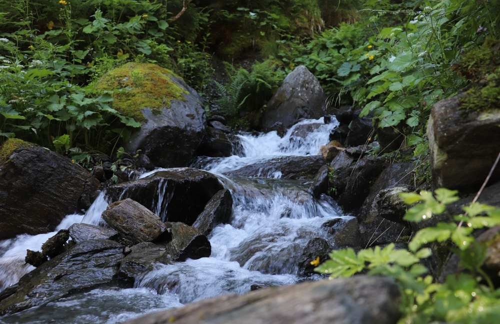 Wenn das Nervensystem im Dauerstress lebt