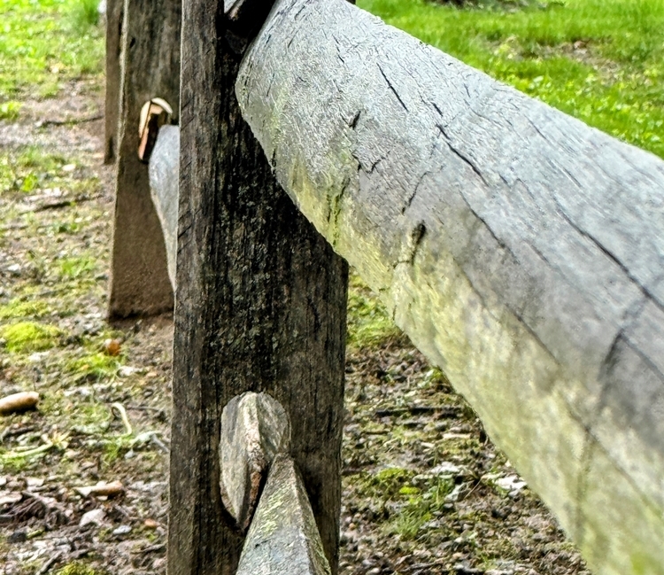 Grenzen setzen lernen